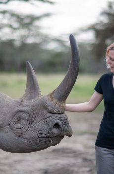 Photo of Meredith Palmer ’11 Photo of Meredith Palmer ’11