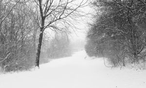 This past winter was the coldest Ohio has seen in the past 30 years