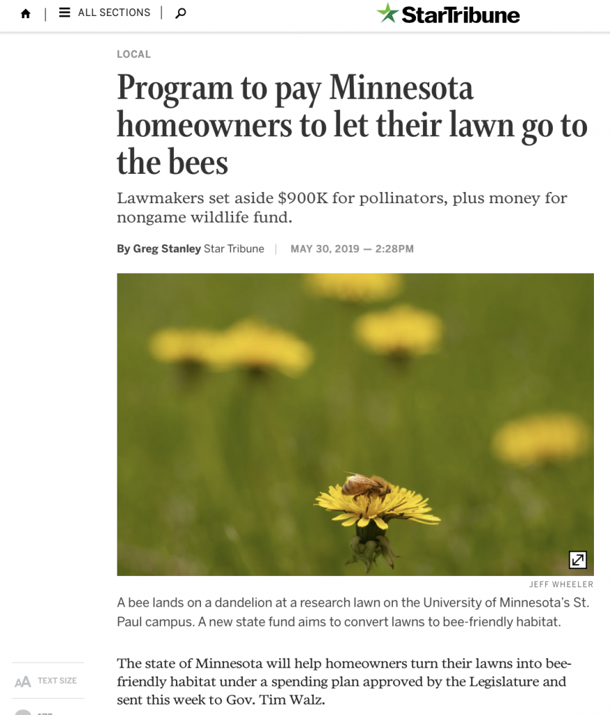 program-to-pay-minnesota-homeowners-to-let-their-lawn-go-to-the-bees