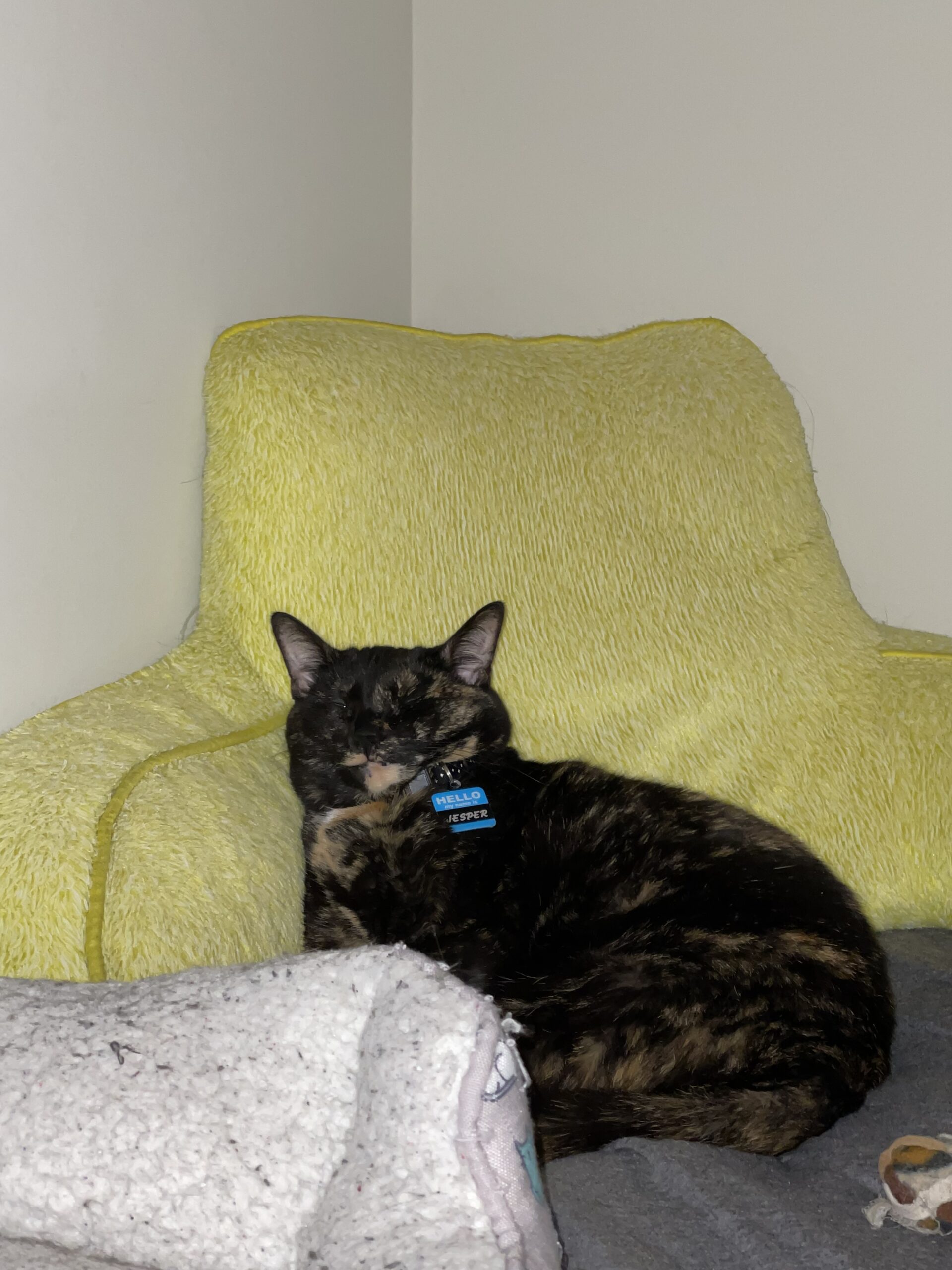 aj-week-1-geography-291-geospatial-analysis-with-desktop-gis