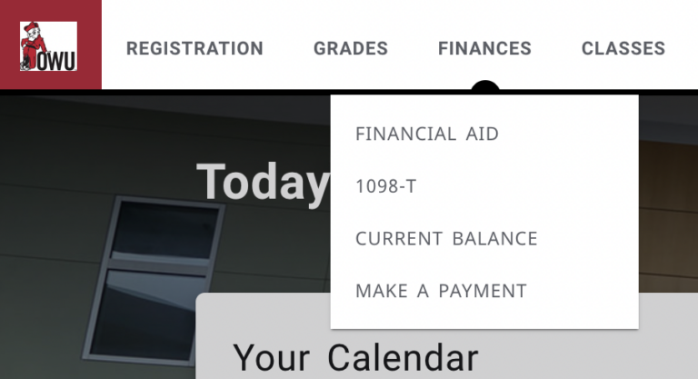 Screenshot of Self-Service Finances menu