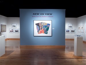 New On View