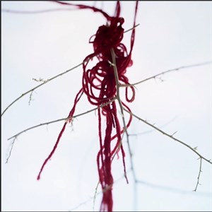 Vanitas